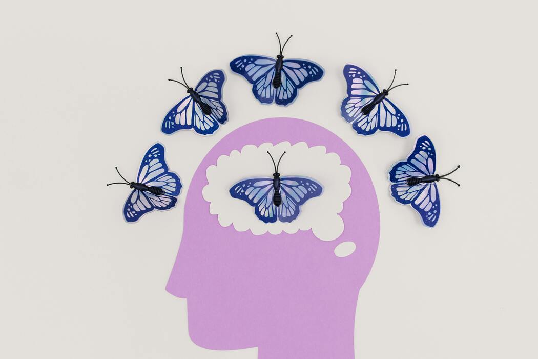 Cómo la Investigación Cerebral Está Moldeando la Medicina