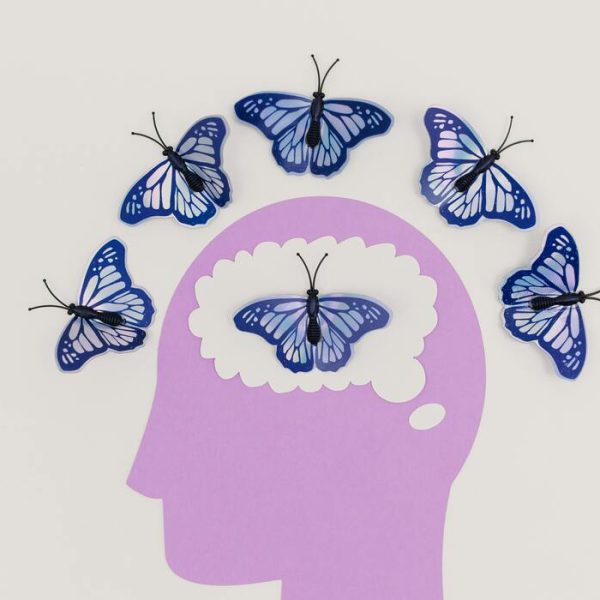 Cómo la Investigación Cerebral Está Moldeando la Medicina