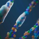 Genetics Revolution by Unlocking the Code of Human Health