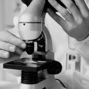 Wie die Forschung neue Wege zur Heilung eröffnet