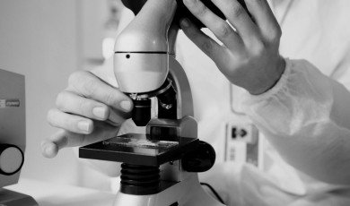 L’éthique de la recherche sur le cerveau Où tracer la ligne ?